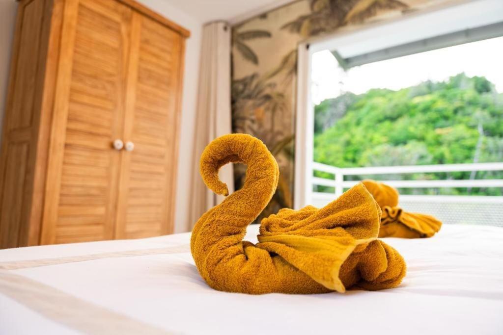 "La Ravine" Prive, Luxe, Avec Une Vue Unique Saint-Joseph Exterior foto